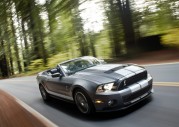 Shelby Cobra GT500 Show Car